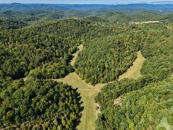 a view of a forest with a sink