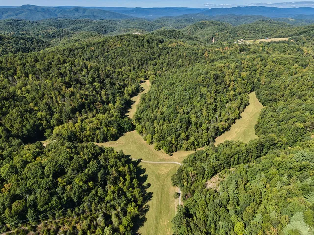 a view of a forest with a sink