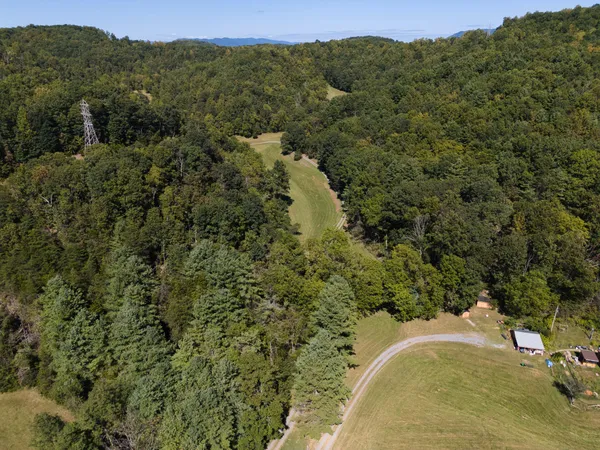 a view of backyard with tree