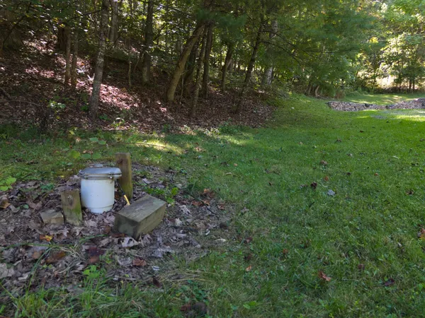 a view of a backyard with plants and a patio