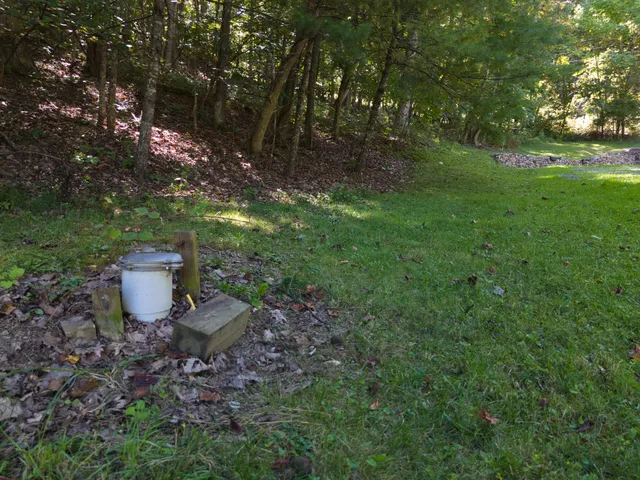 a view of a backyard with plants and a patio