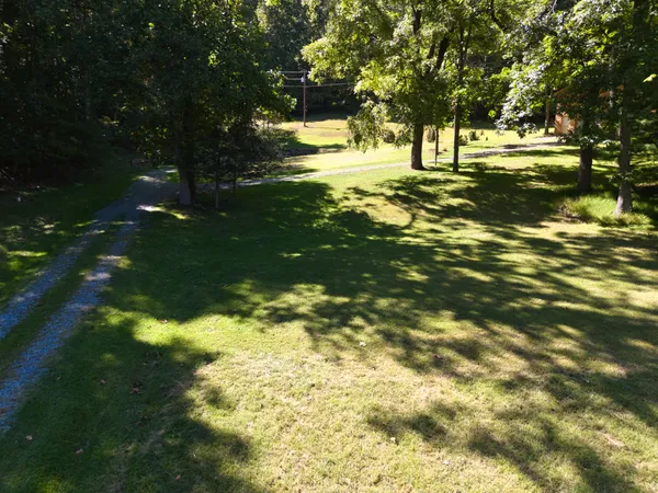 a view of a yard with a tree