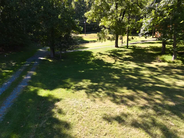 a view of a yard with a tree