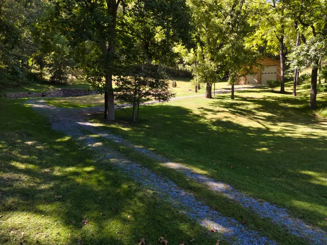 a view of yard with green space and trees all around