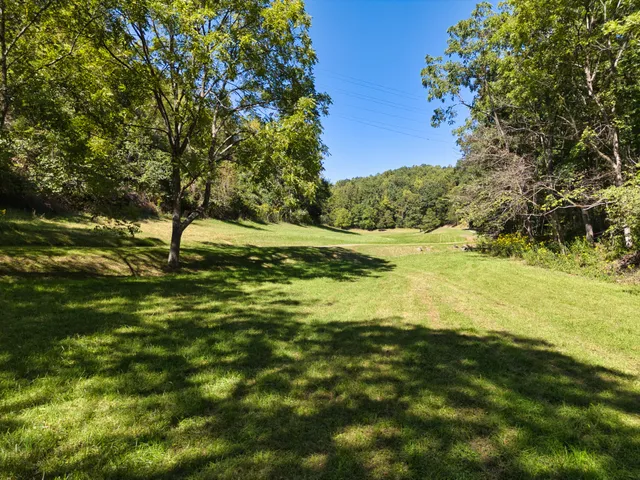 a view of an ocean from a yard