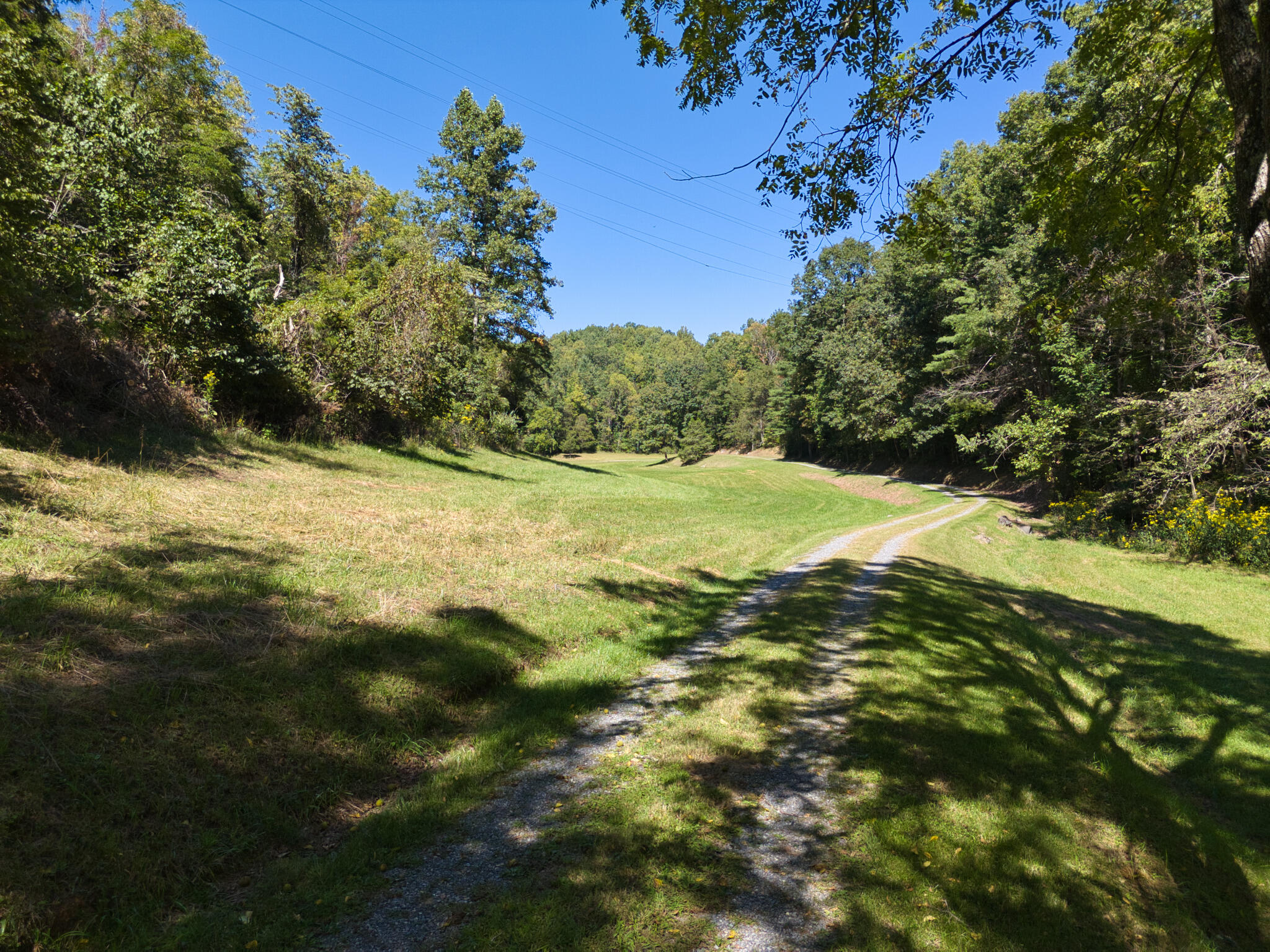 2554 Georges Run Road Shawsville, VA 24162 - Photo 9 of 40 a view of a yard with a tree