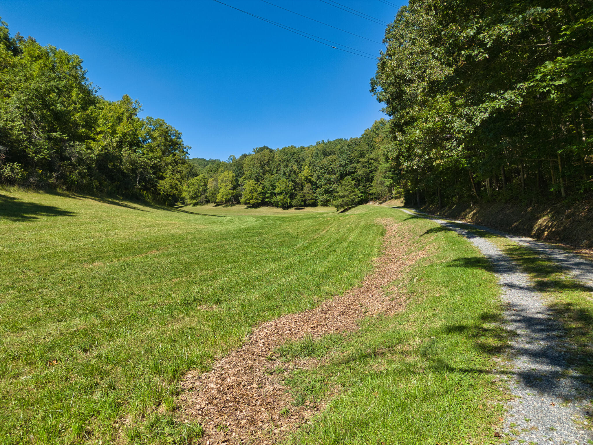 2554 Georges Run Road Shawsville, VA 24162 - Photo 10 of 40
