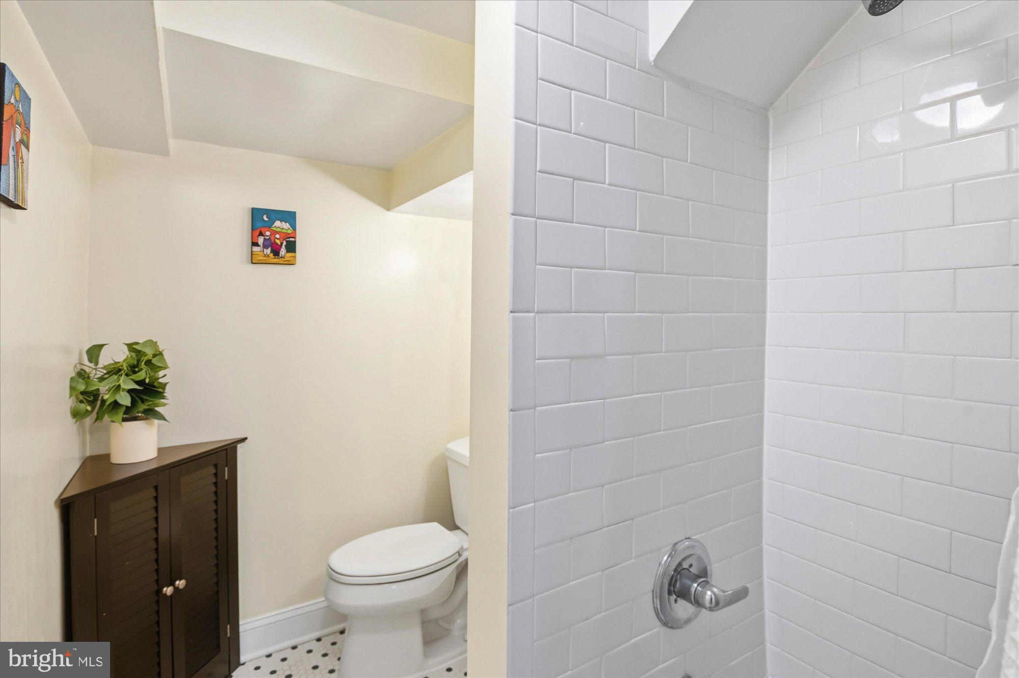 512 Independence Avenue Southeast Washington, DC 20003 - Photo 24 of 28 Lower level full bath