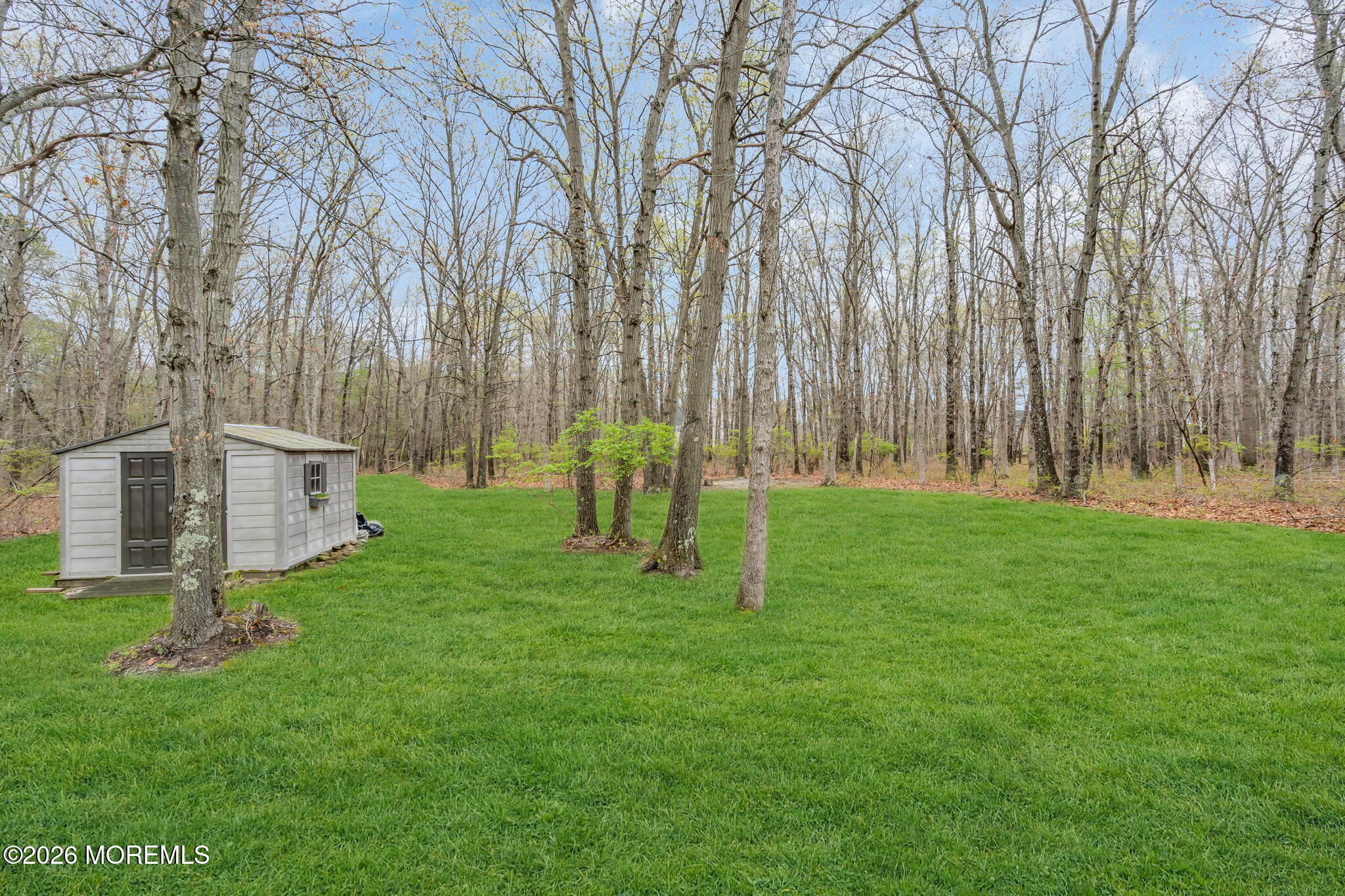 203 Freehold Road Jackson, NJ 08527 - Photo 28 of 33 a backyard of a house with lots of green space
