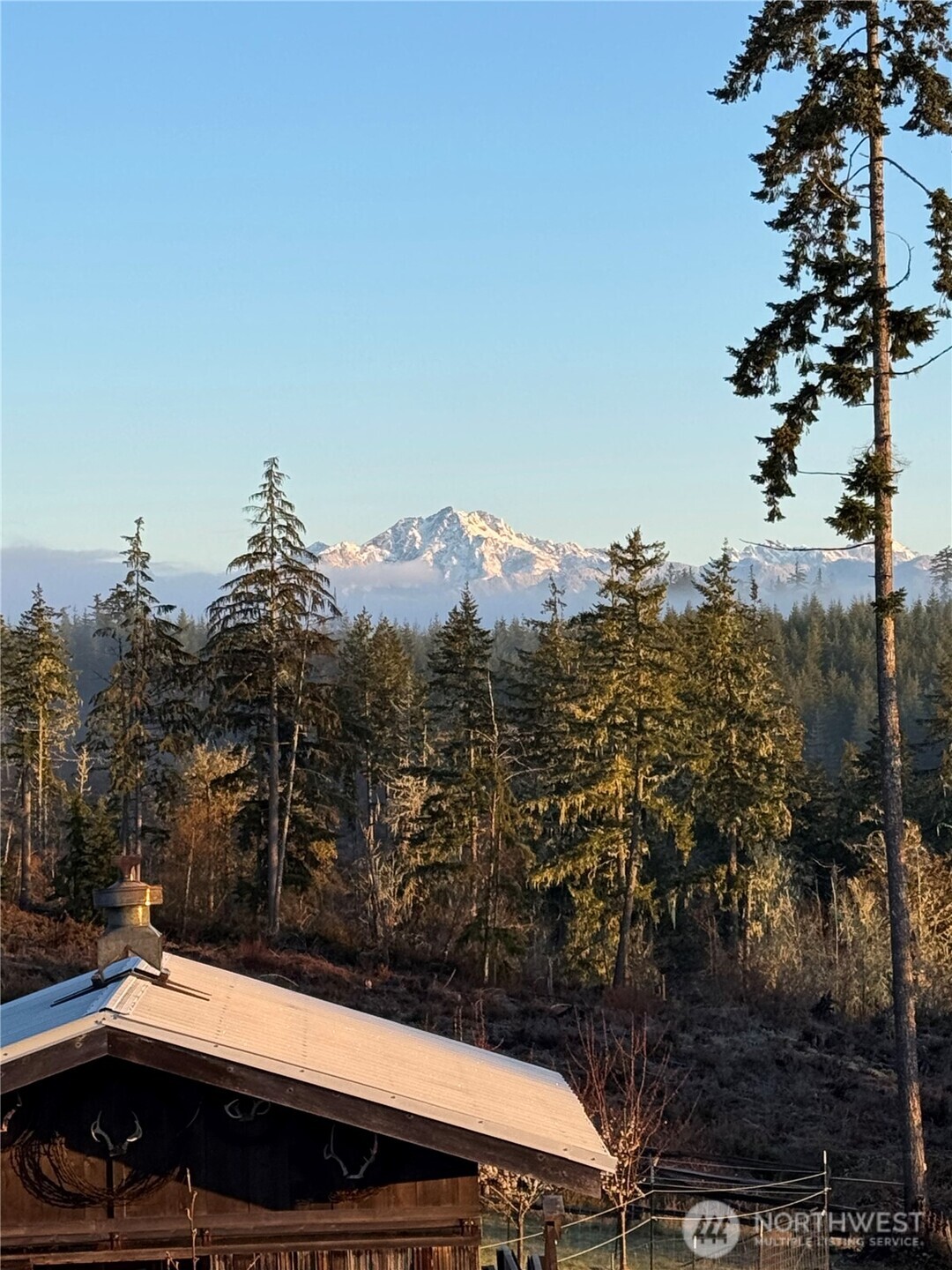 161 Northeast Belfair View Road Belfair, WA 98528 - Photo 37 of 40 a view of a terrace