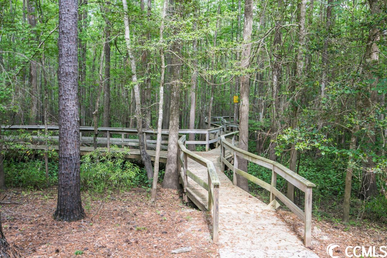 Lot 211 Sprig Lane Murrells Inlet, SC 29576 - Photo 18 of 33 Gallery Image 18