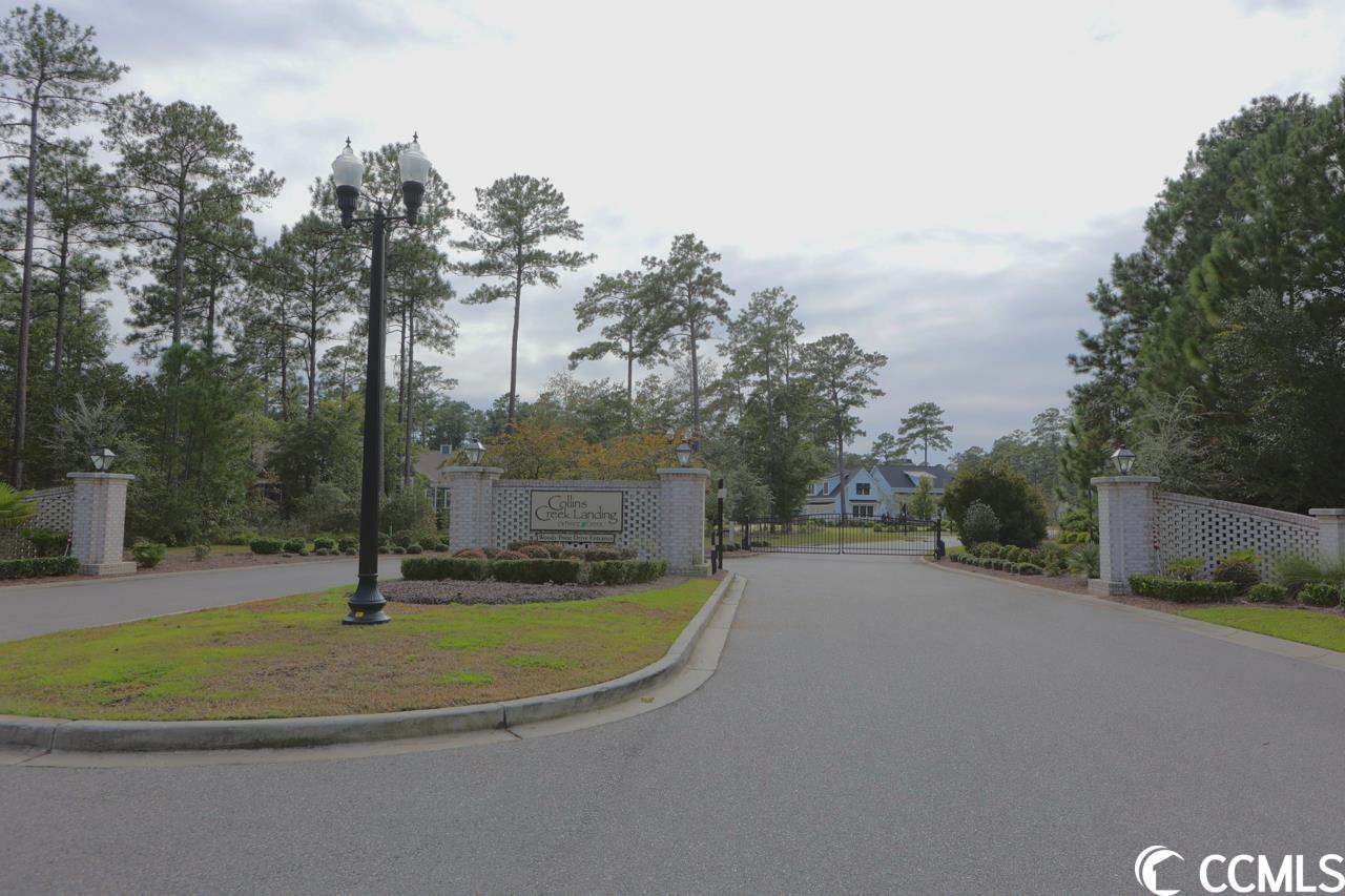 Lot 211 Sprig Lane Murrells Inlet, SC 29576 - Photo 10 of 33 Gallery Image 10