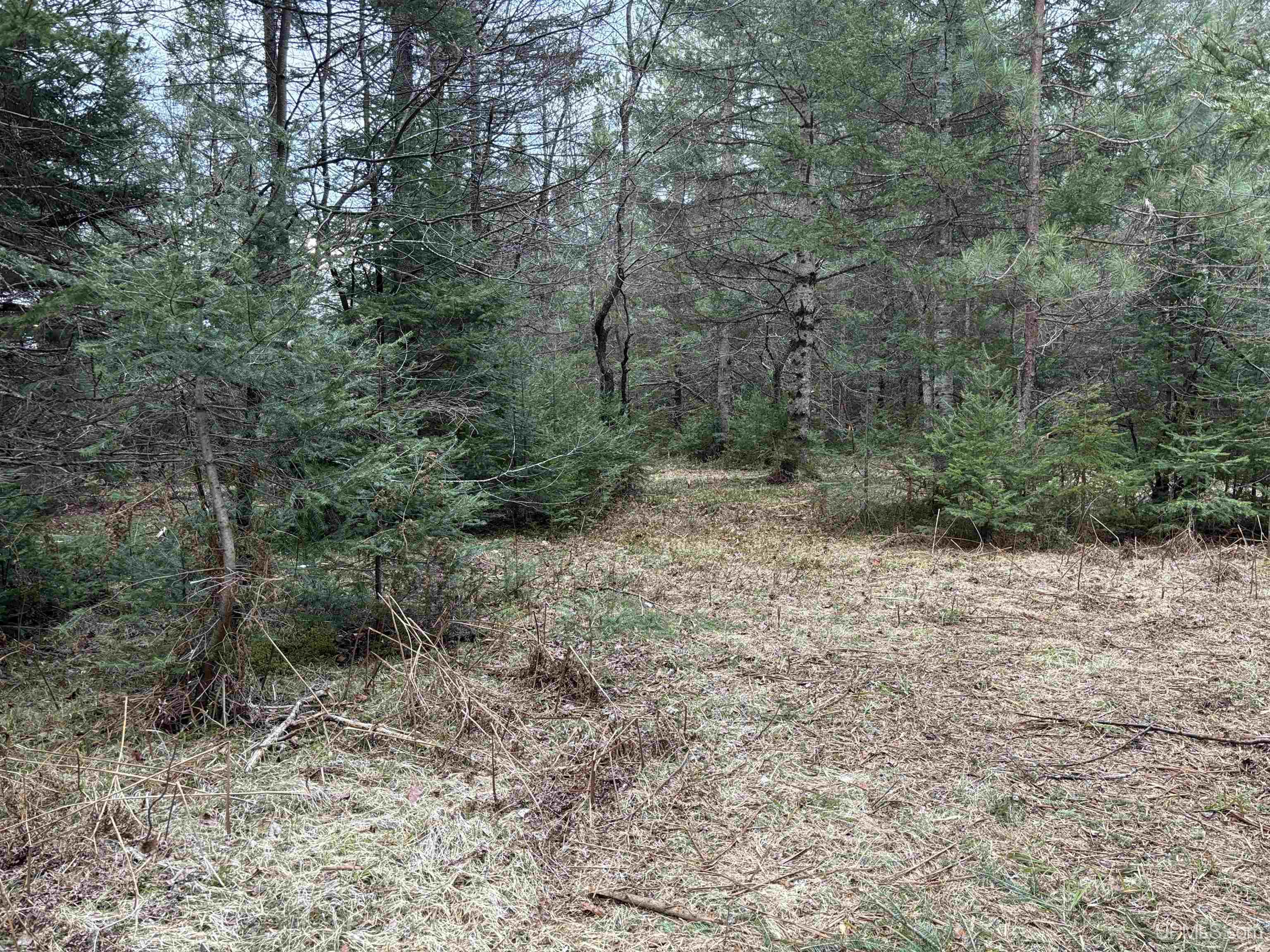 4480 W Sand Rock Road Hurley, WI 54534 - Photo 27 of 57