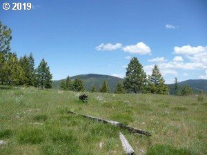 45772 Ritter Road Long Creek, OR 97856 - Photo 14 of 20