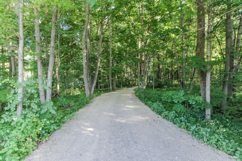 12919 Finkbeiner Road Middleville, MI 49333 - Photo 36 of 40 36-Driveway