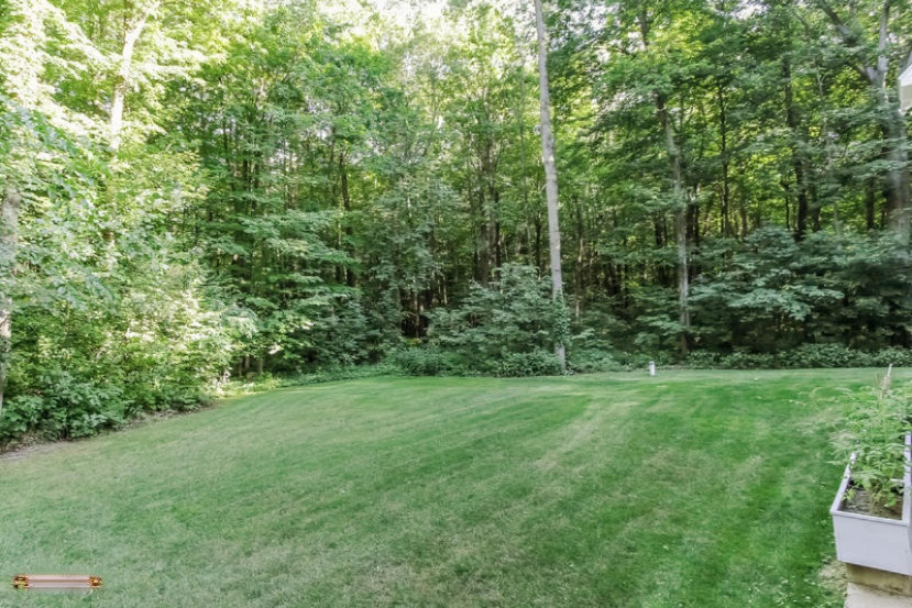 12919 Finkbeiner Road Middleville, MI 49333 - Photo 37 of 40 37-Exterior