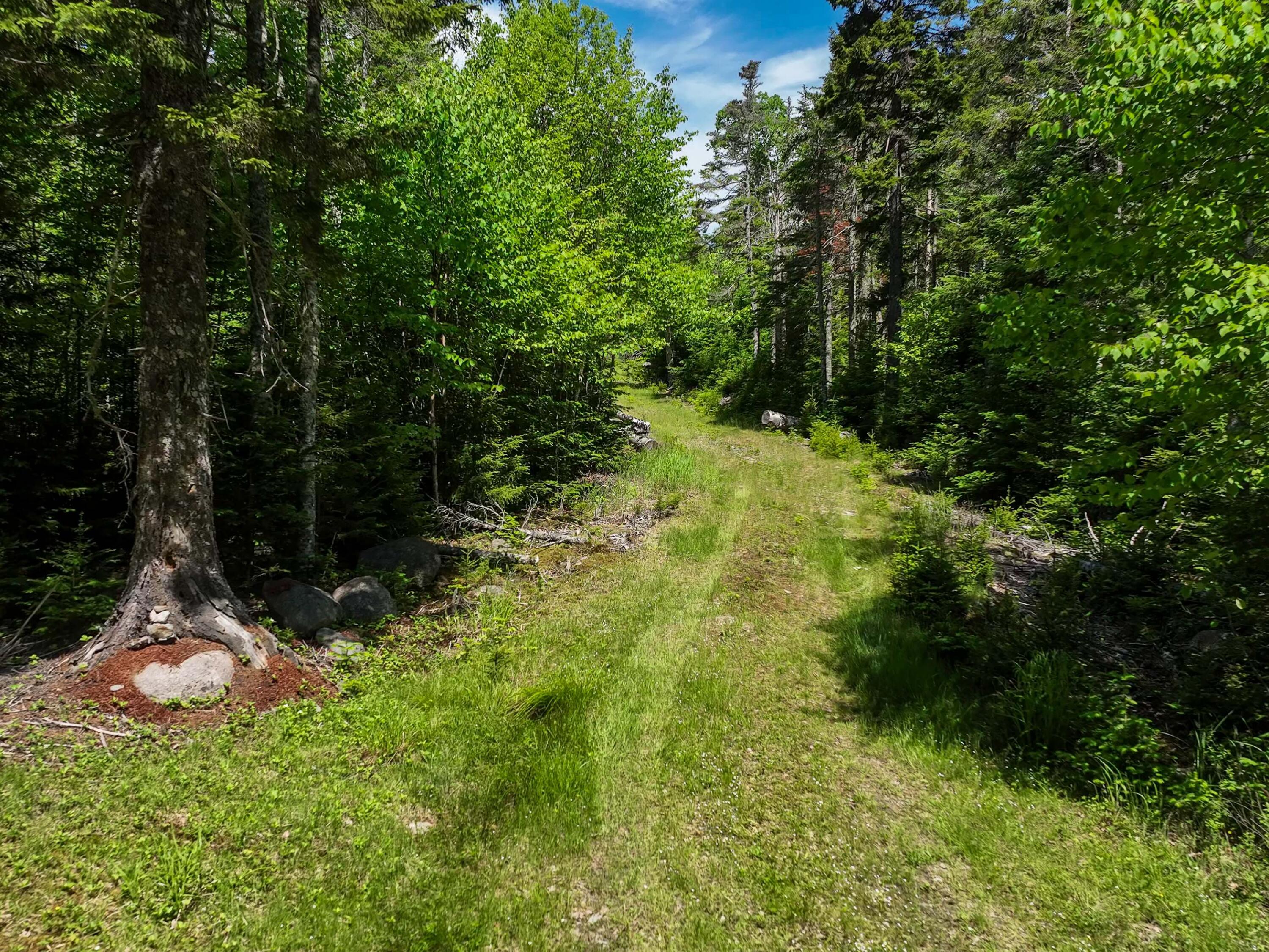 M2-l6-3e Nepp Point Road Roque Bluffs, ME 04654 - Photo 24 of 29 Nepp Point
