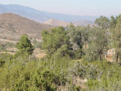 0 Old Stage Road Agua Dulce, CA 91390 - Photo 1 of 4 Primary Photo