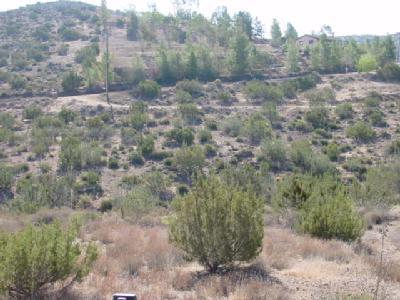 0 Old Stage Road Agua Dulce, CA 91390 - Photo 3 of 4 Additional Photo