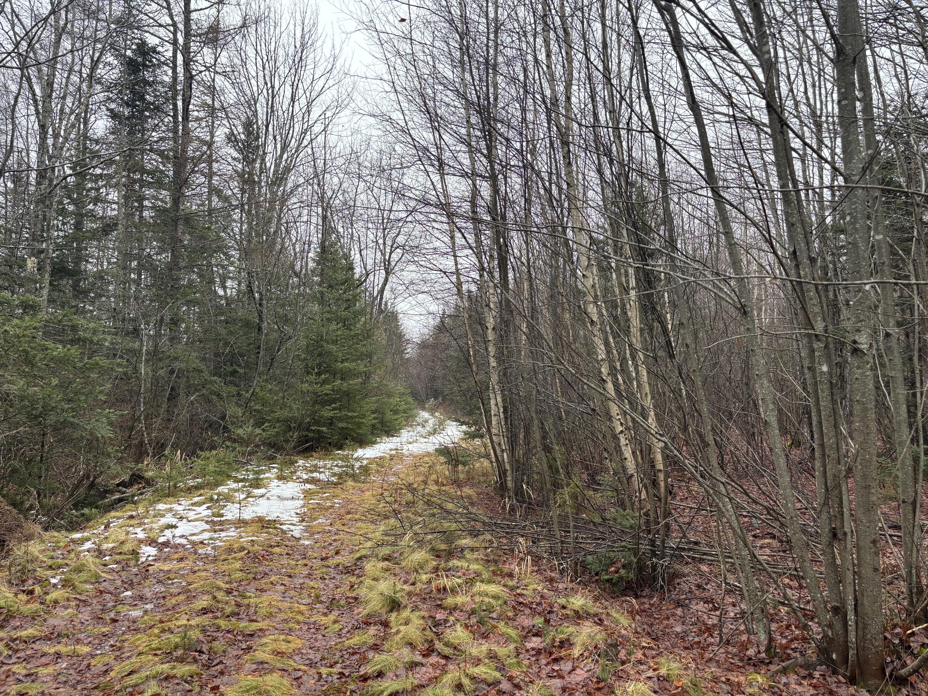94 Heath Road Milbridge, ME 04658 - Photo 13 of 15 Back Yard Trail