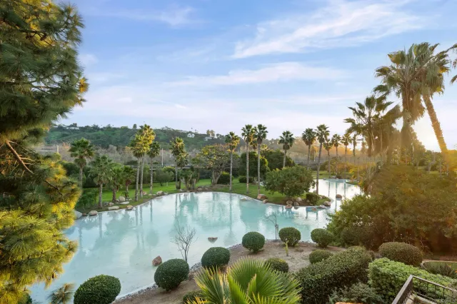 a view of a yard with plants and large trees