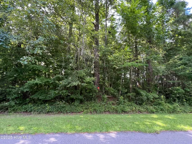 $9,500 | 206 Colony Drive, Edenton, NC 27932