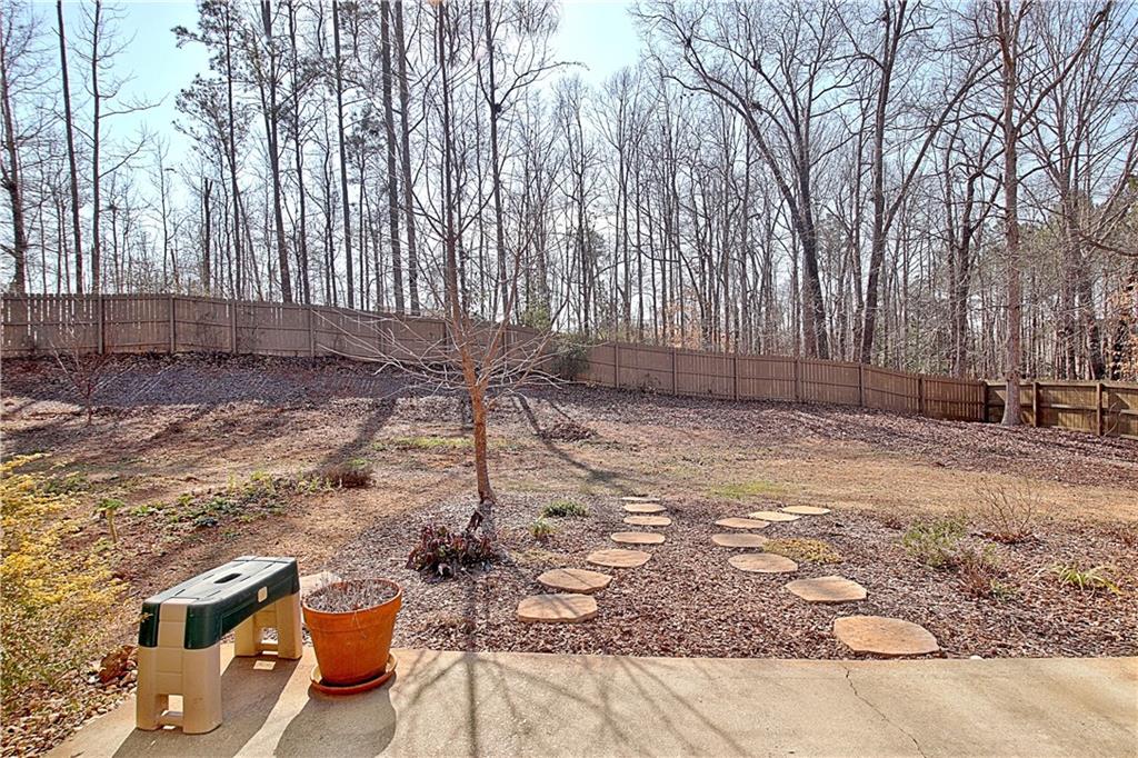 12 Smokey Ridge Court Newnan, GA 30263 - Photo 68 of 82
