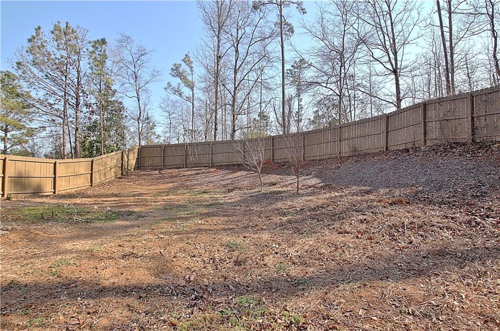12 Smokey Ridge Court Newnan, GA 30263 - Photo 74 of 82