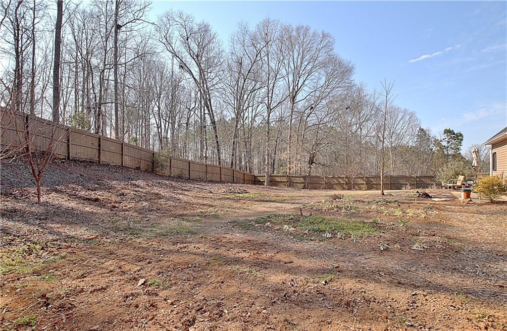 12 Smokey Ridge Court Newnan, GA 30263 - Photo 76 of 82