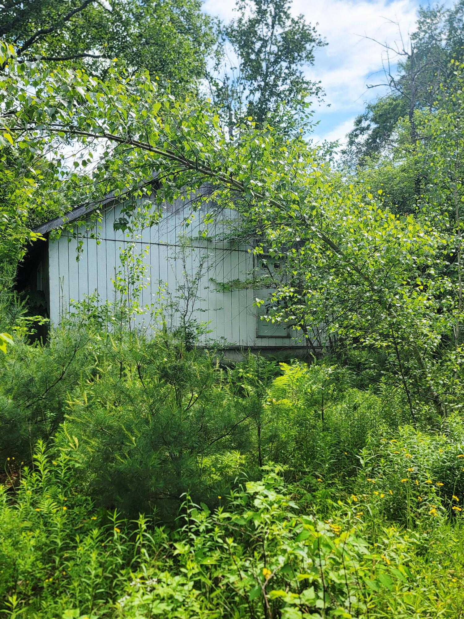 477 Hadley Mill Road Jackson, ME 04921 - Photo 7 of 32