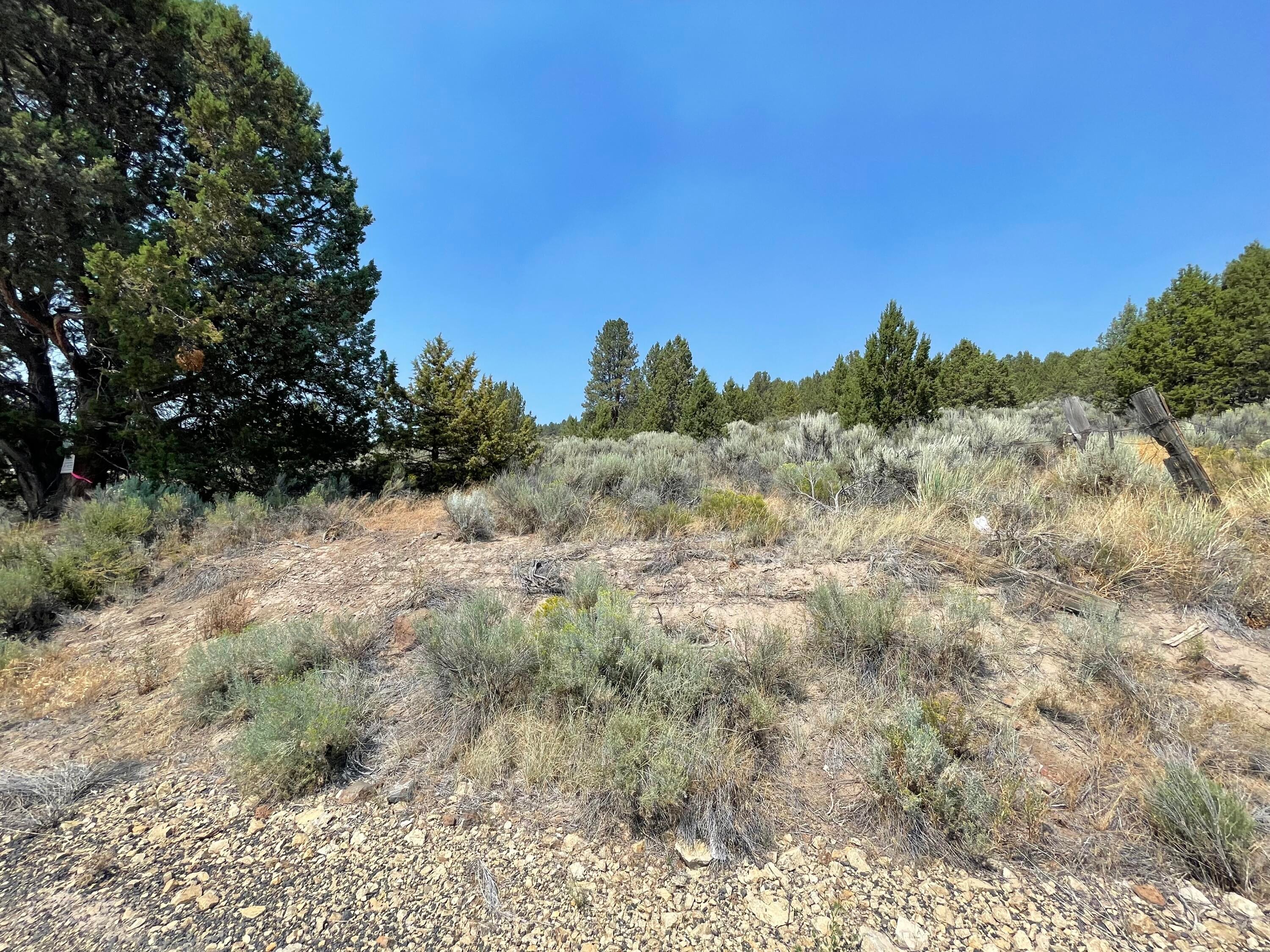 Drews Road Chiloquin, OR 97624 - Photo 7 of 12 IMG_4523