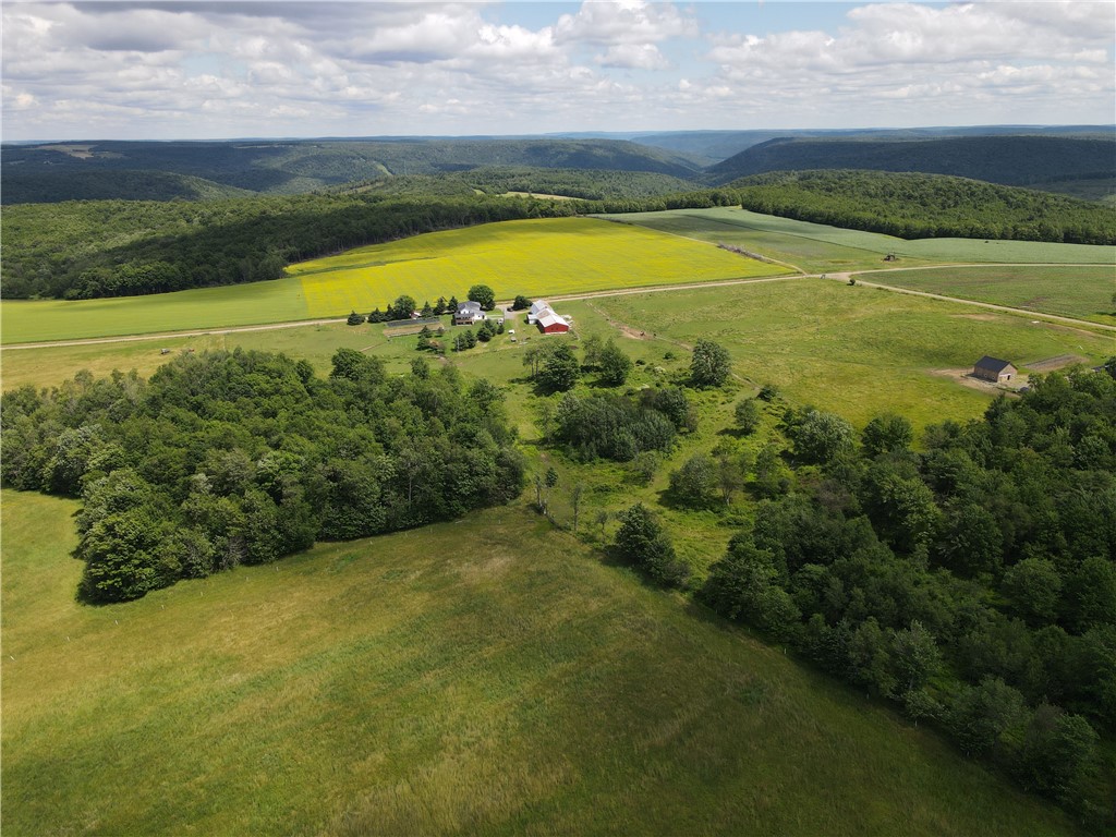 288 Rooks Road Genesee, PA 16923 - Photo 11 of 50