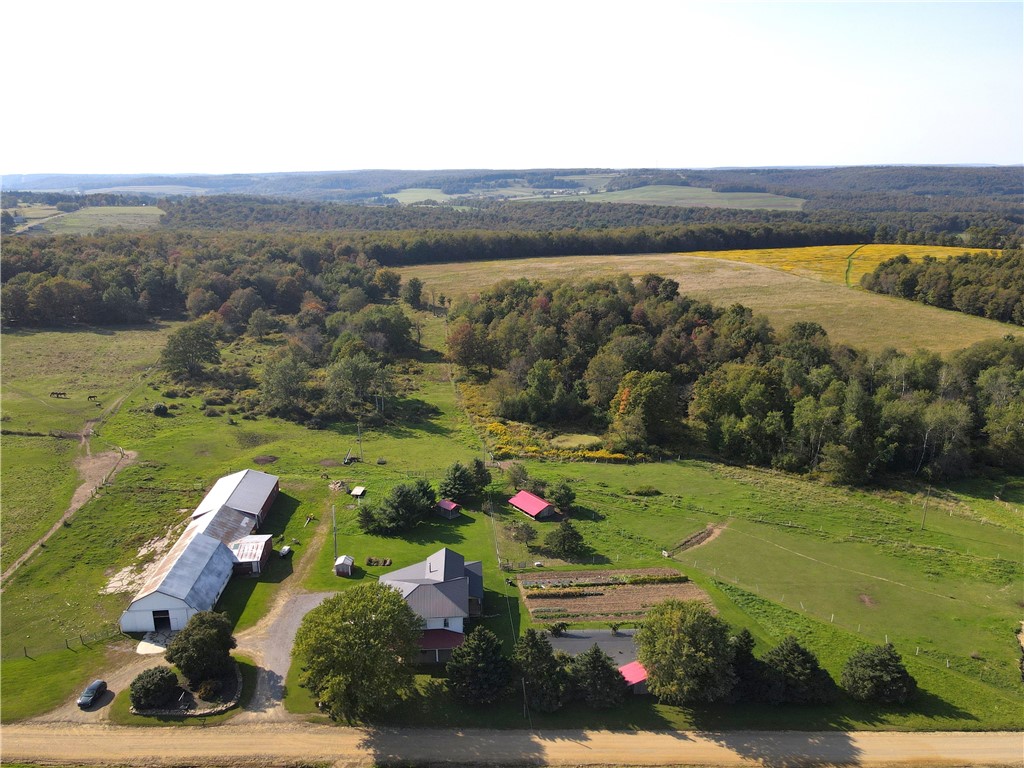 288 Rooks Road Genesee, PA 16923 - Photo 7 of 50