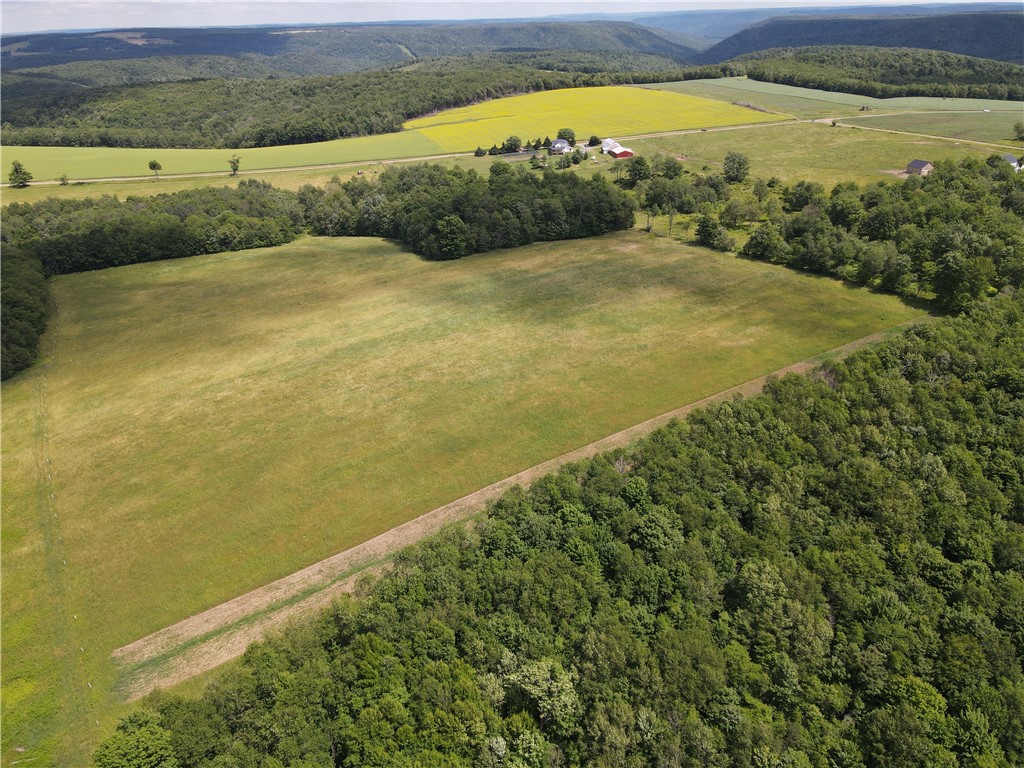 288 Rooks Road Genesee, PA 16923 - Photo 10 of 50