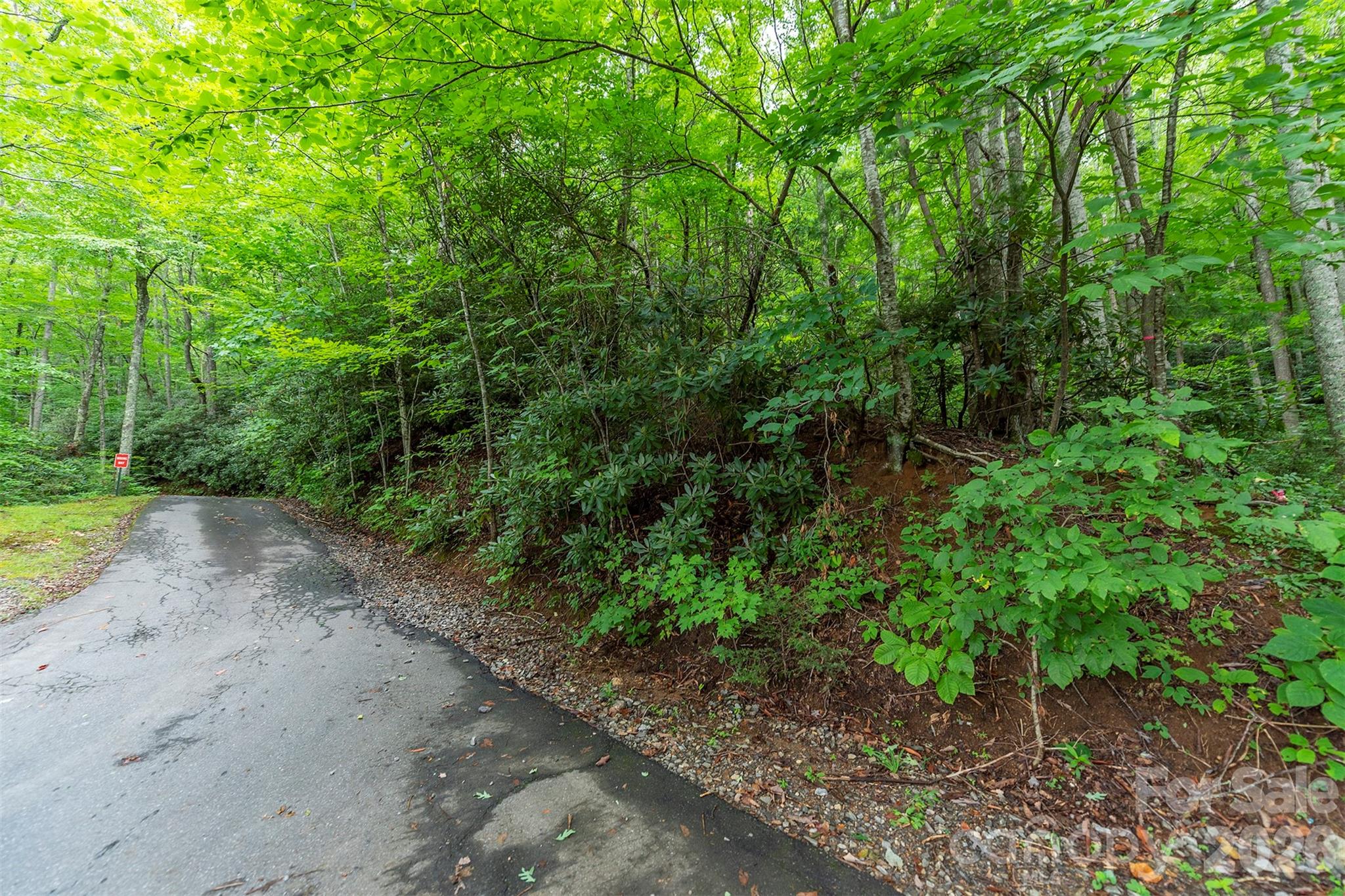 Tbd Summer Haven Road, Unit 16 Swannanoa, NC 28778 - Photo 6 of 45