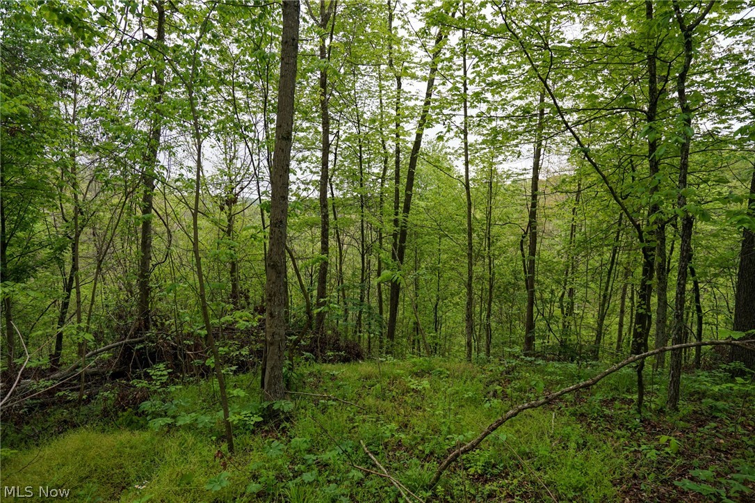 Hill Road Stockport, OH 43787 - Photo 11 of 40
