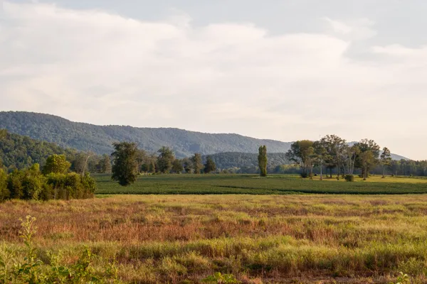 $1,400,000 | 4340 Holland Chattoogaville Road, Lyerly, GA 30730