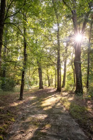 $1,400,000 | 4340 Holland Chattoogaville Road, Lyerly, GA 30730
