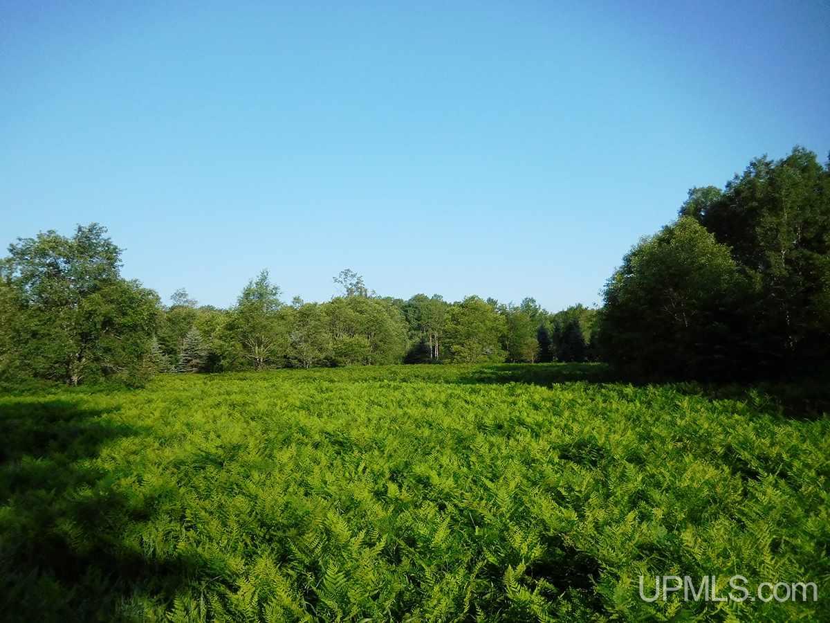 Tbd Tee Lake Road Germfask, MI 49836 - Photo 1 of 25