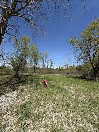 $85,000 | Parcel 6 Fisher Road, Howell, MI 48855