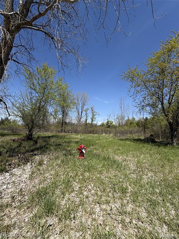 Parcel 6 Fisher Road Howell, MI 48855 - Photo 1 of 9