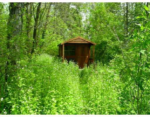 2997 South Fletcher Road Chelsea, MI 48118 - Photo 8 of 10 Photo 8