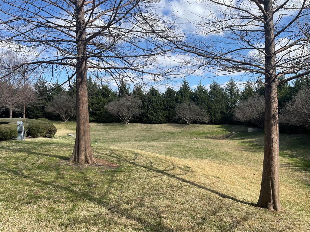 628 Raford Hill Lane Richardson, TX 75081 - Photo 30 of 34 a view of a yard with a tree