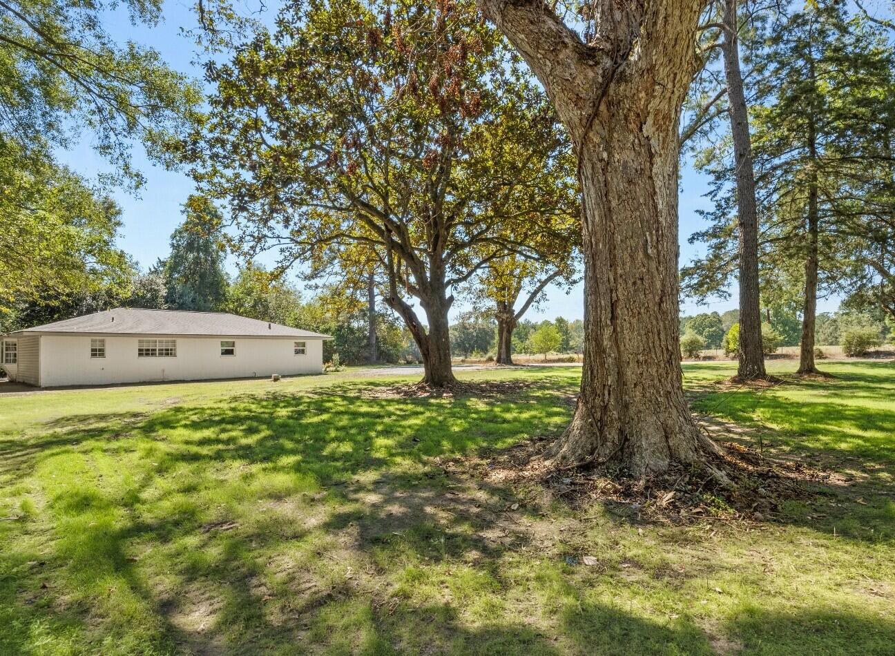 10070 Lewis Road Deridder, LA 70634 - Photo 23 of 24 Gallery Image 23