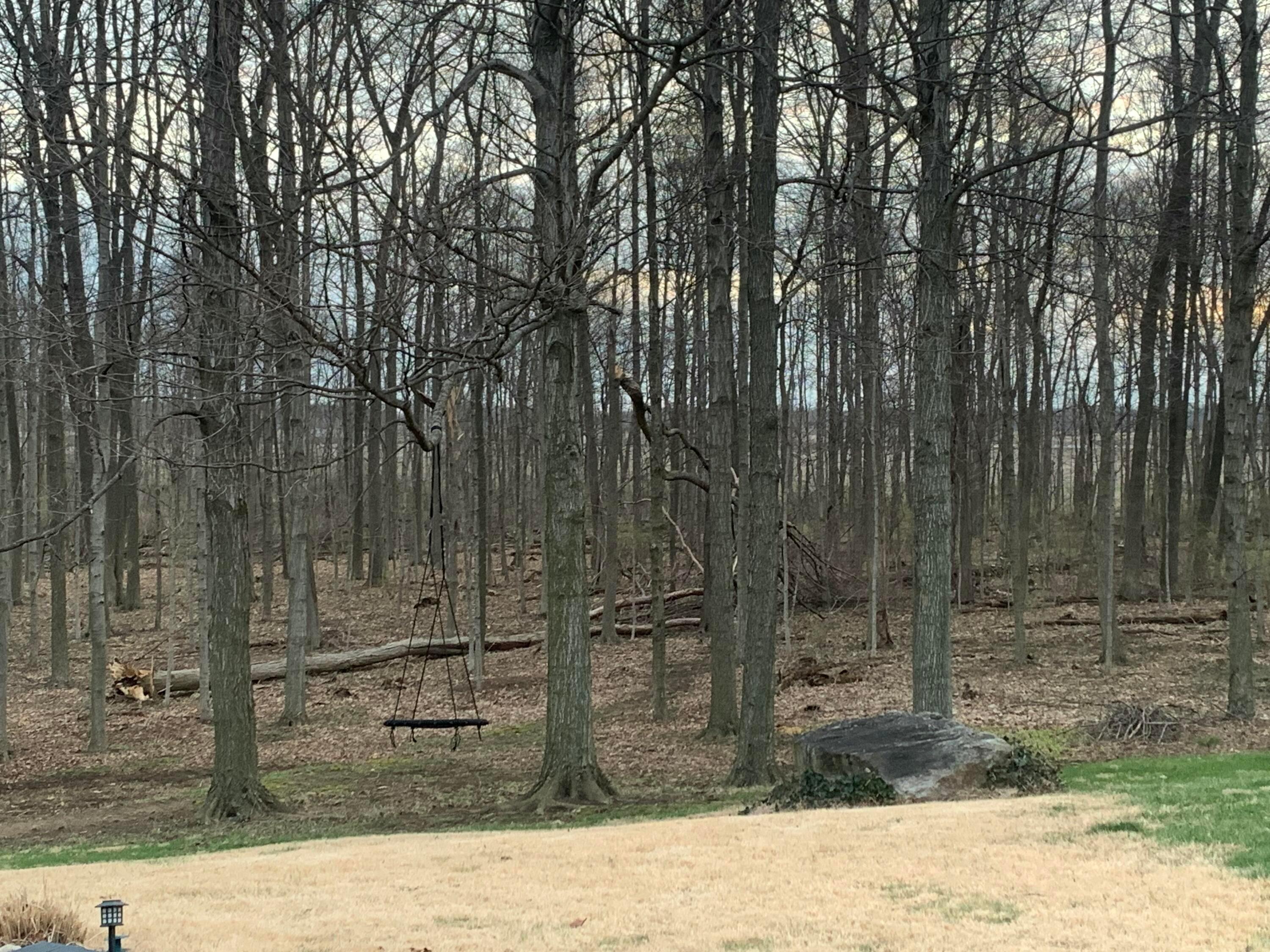 680 Newmans Cardington Road East Marion, OH 43302 - Photo 6 of 29 IMG_5003