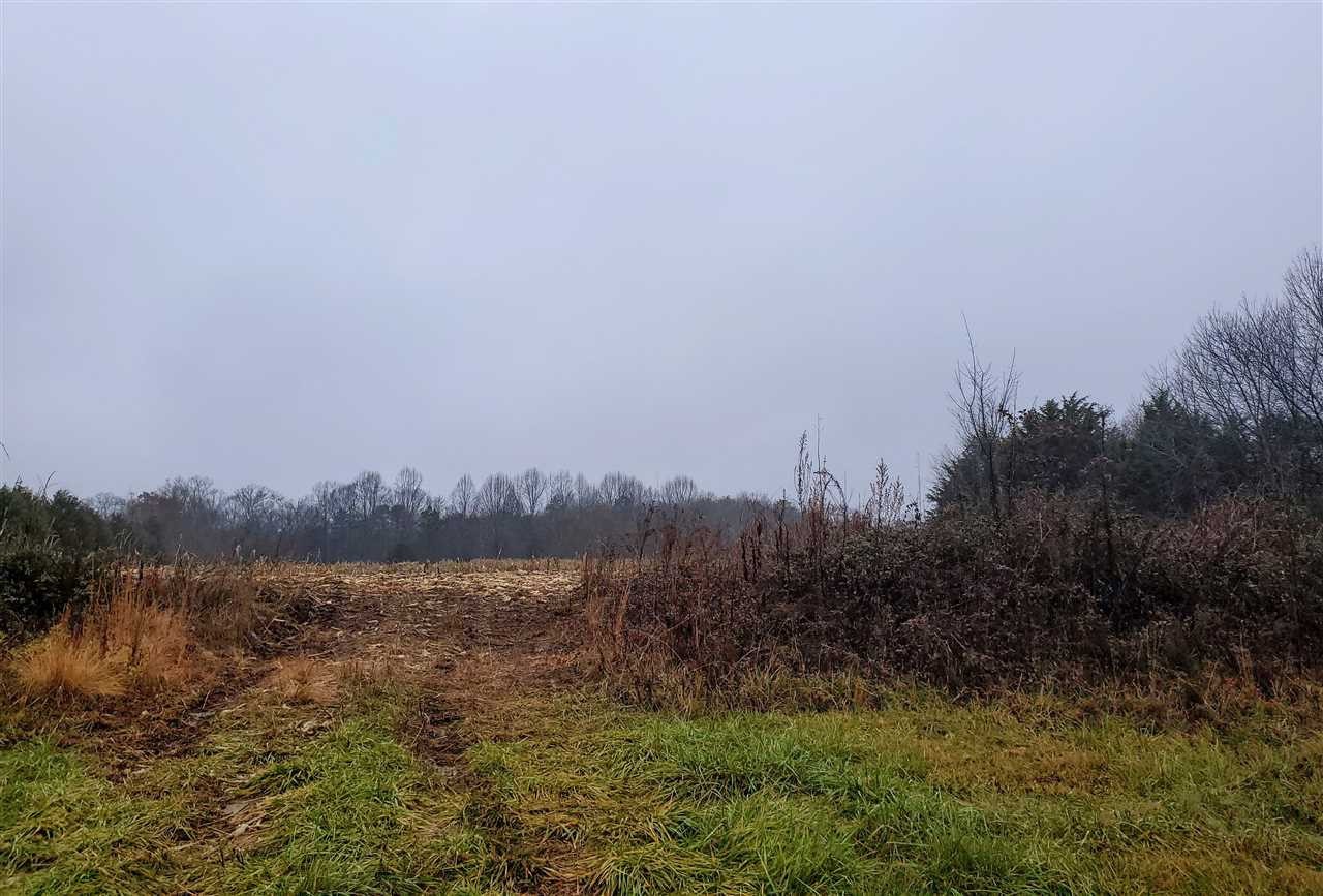 3484 Highway 11 Riceville, TN 37370 - Photo 1 of 5