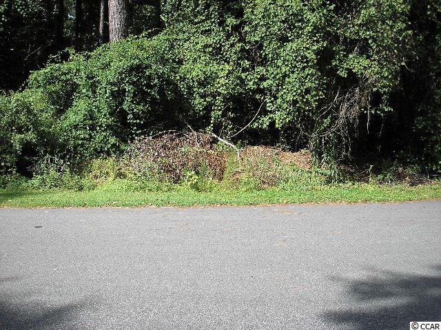Lot 15 Clemson Road Conway, SC 29526 - Photo 1 of 6 Gallery Image 1