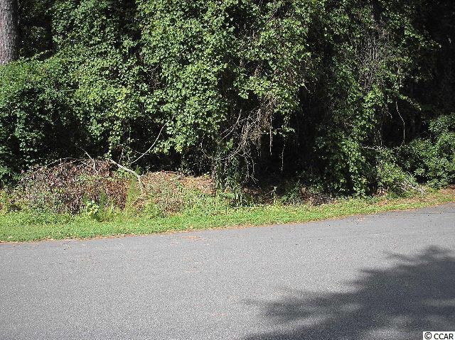 Lot 15 Clemson Road Conway, SC 29526 - Photo 3 of 6 Gallery Image 3