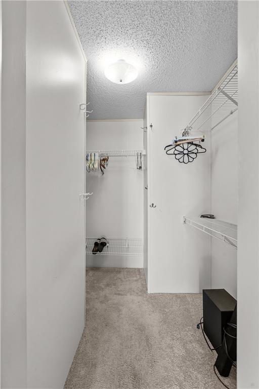 264 Ridge Lane Murrysville, PA 15668 - Photo 19 of 35 Large walk in closet for primary bedroom.