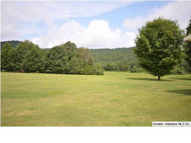 2973 Woods Cove Road Scottsboro, AL 35768 - Photo 27 of 29